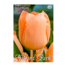 Bulbi de flori Lalea Apricot Beauty 