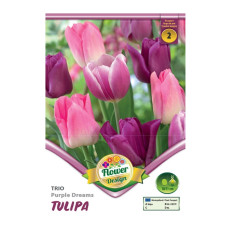 Bulbi de flori Lalele Trio Purple Dreams