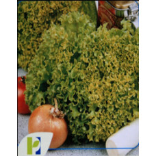 Seminte Salata Lollo Bionda 10 g
