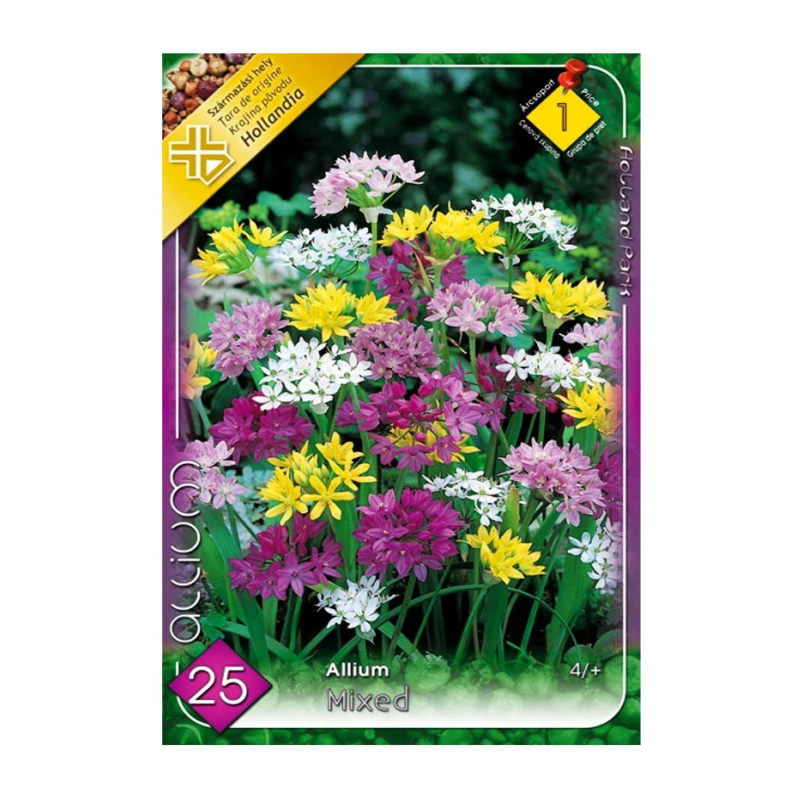 Bulbi de flori Ceapa ornamentala Allium Mix 25buc
