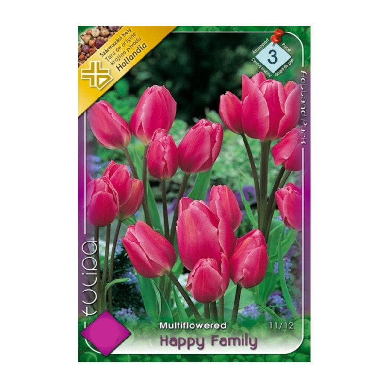 Bulbi de flori Lalele Happy Family 