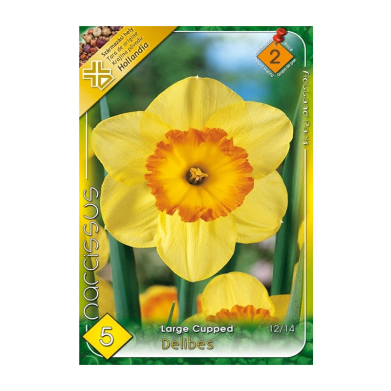 Bulbi de flori Narcisa Delibes 5buc