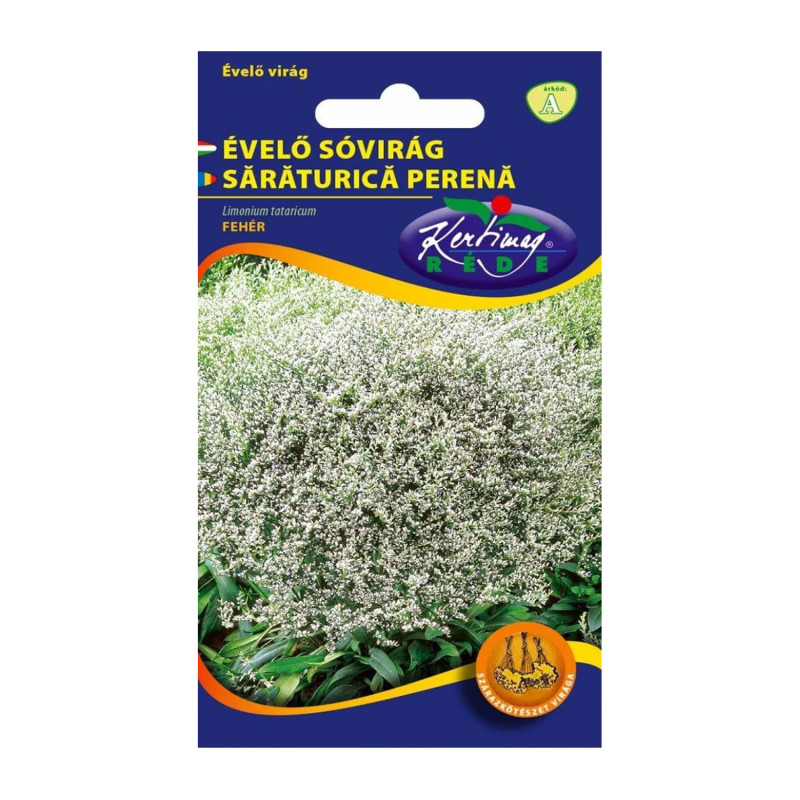 Seminte flori Saraturica perena (Limonium tataricum) alba 0,2g