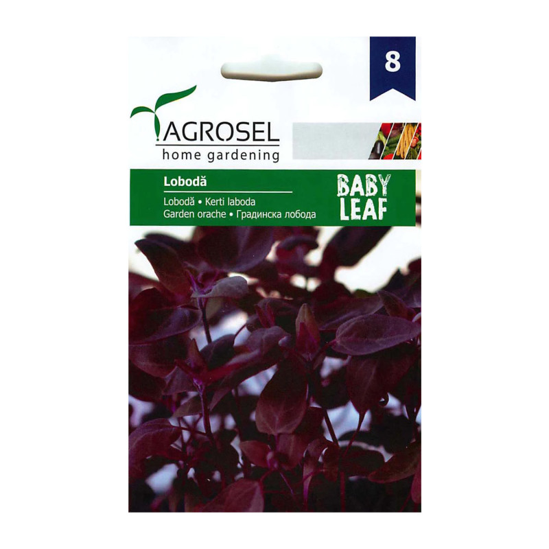 Seminte Loboda Baby Leaf 2g
