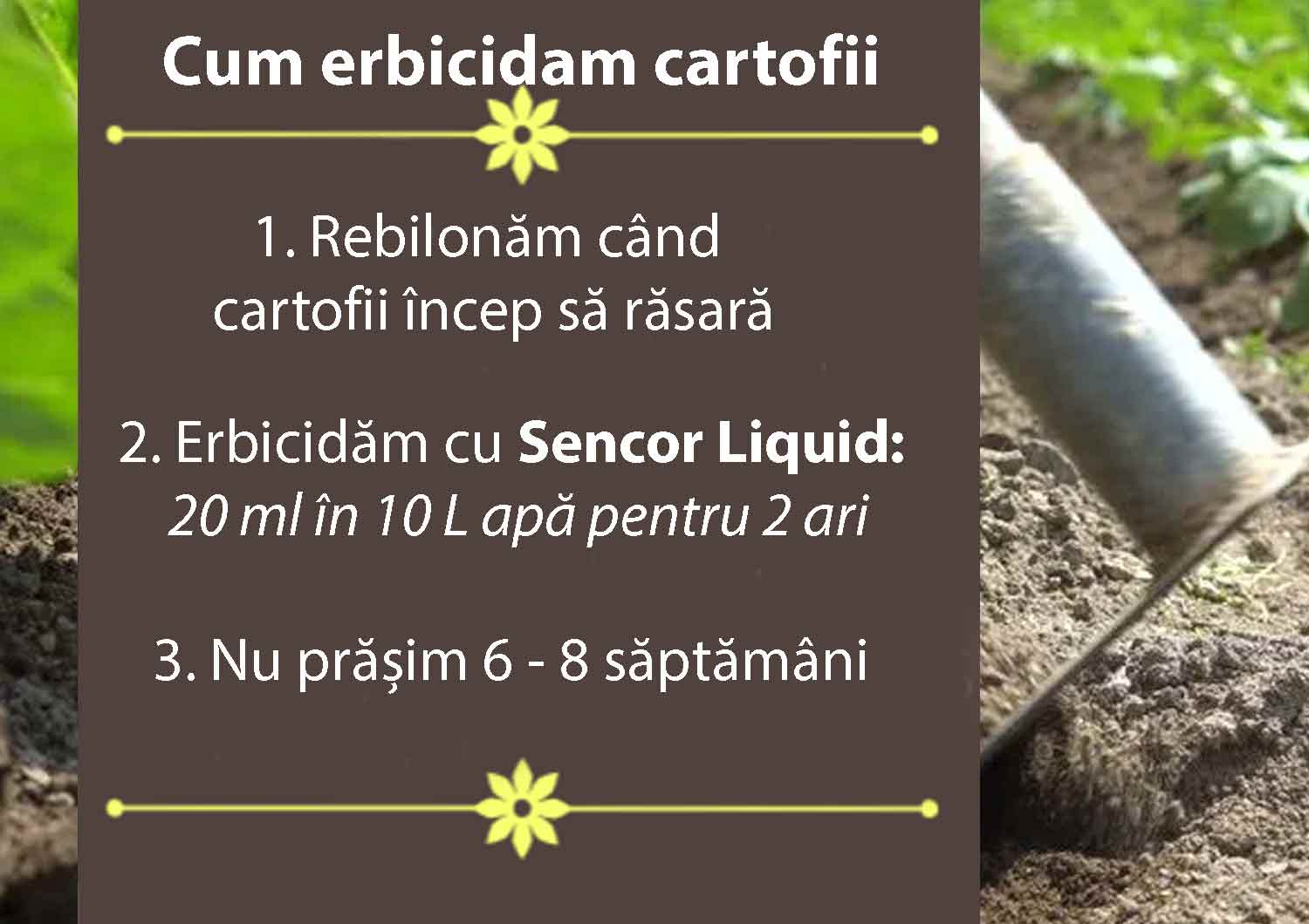 cum erbicidam cartofii dupa plantare