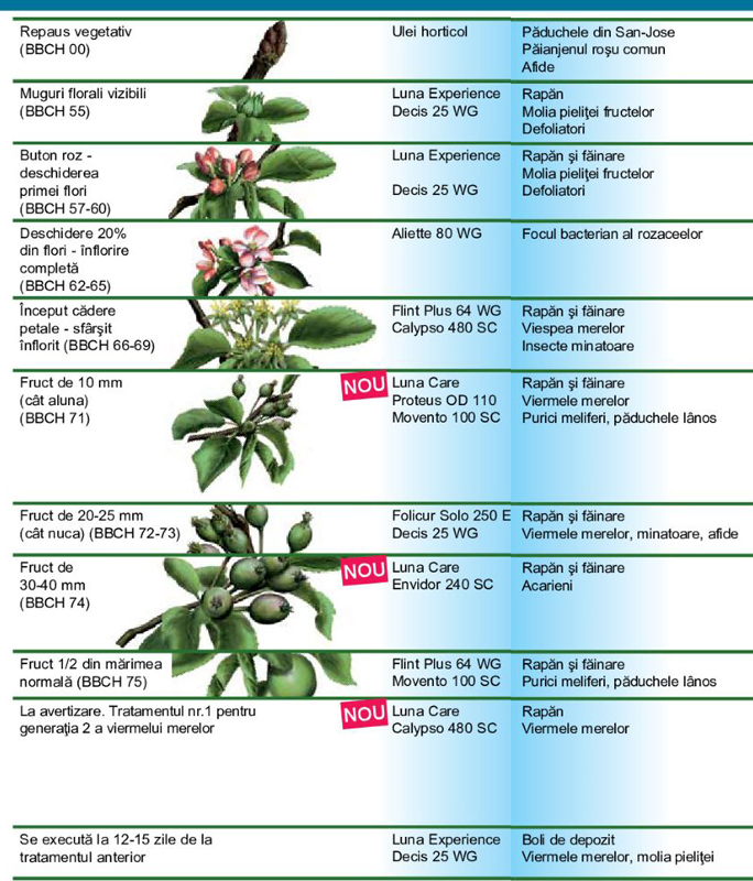 Schema de tratament mar de la Bayer