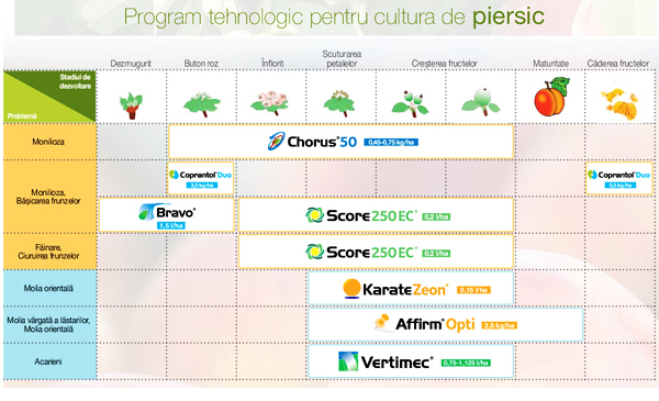 Schema de tratament piersic de la Syngenta
